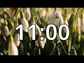 11 Minutes Timer with Music | Spring Timer