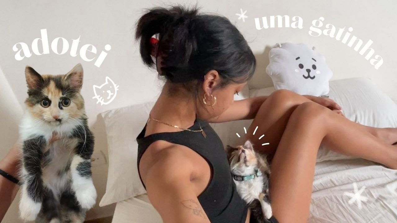 adotei uma nova gatinha! | vlog & muitas comprinhas pra ela