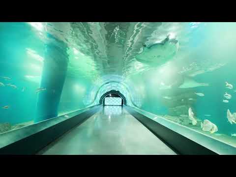 幻想的な世界に誘う都市型水族館「マクセル アクアパーク品川」の進化に迫る