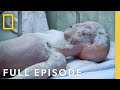 UFO Roswell Incident Full Episode Undercover History Updates National Geographic