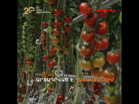 Spayka: made in Armenia