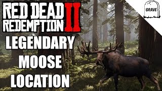 Legendary Moose Location! Red Dead Redemption 2