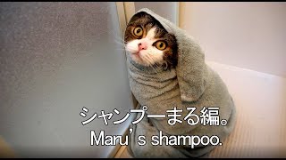 Maru’s shampoo