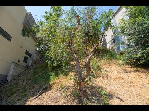 723 Museum Drive | Mount Washington 90065