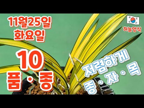 유튜브 썸네일