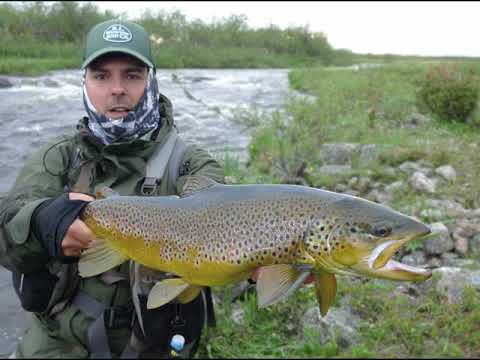 Kharlovka Fly fishing in paradise - Brown trout - Russia 2018
