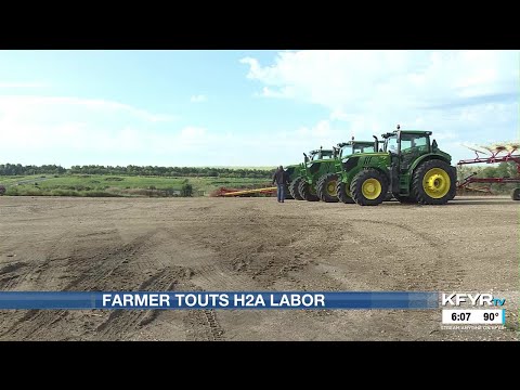 North Dakota farmer calls for fixes to H-2A visa program amid labor shortages