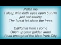 Sophie B Hawkins California Here I Come Lyrics
