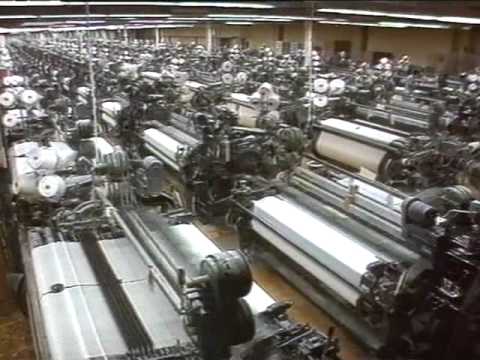 Mittendrin Natur - aber pur? Folge 35 Teil 1