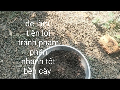 Share how to compost organic fertilizer, delicious, nutritious and cheap