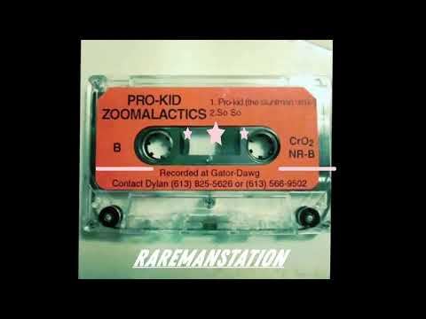 Zoomalactics  -  Pro Kid