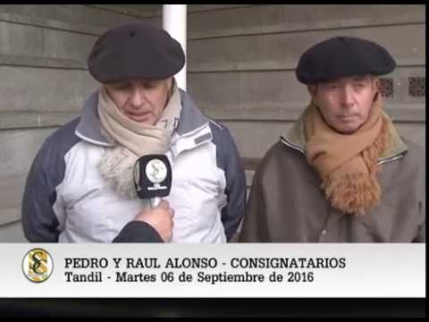 06-09-16 - PEDRO Y RAUL ALONSO - CONSIGNATARIOS