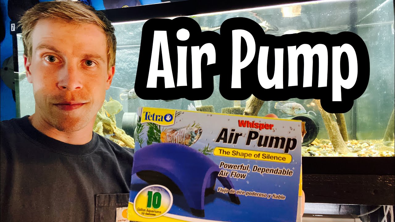Tetra Whisper Air Pump Review