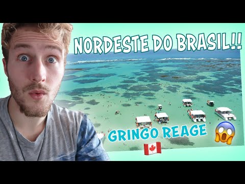 Gringo Reage 🇨🇦   Ao Nordeste Do Brasil!! 🇧🇷
