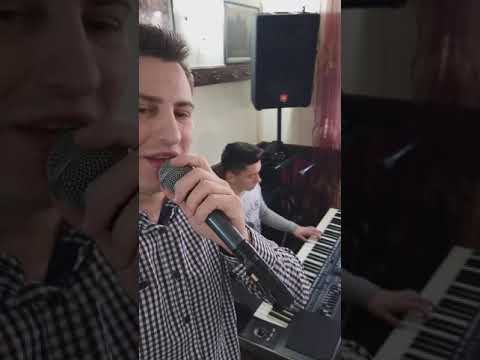 Bojan Br.6 & Željko (2019) - Šadrvani (Šaban Šaulić) - cover