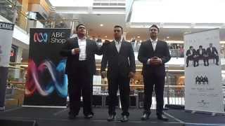 SOL3 MIO @ Castle Towers 3-5-2014 The Rose