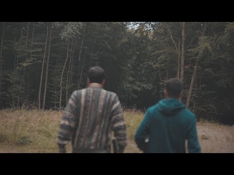 En el bosque no se dejaron ver