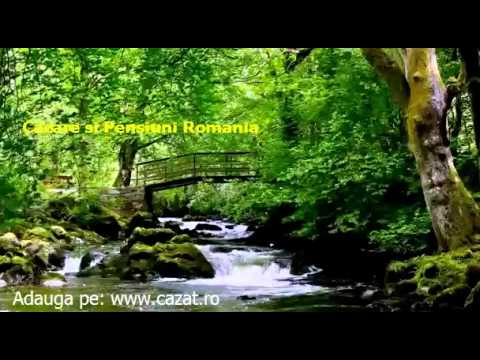 Cazare Sintesti, Ilfov - Cazat.ro