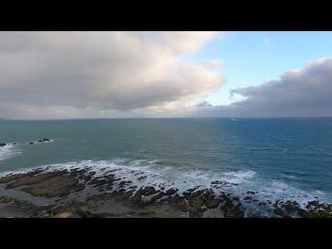 Oku street reserve, Island bay, Wellington