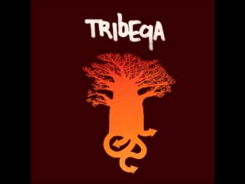 Tribeqa - Up & Down