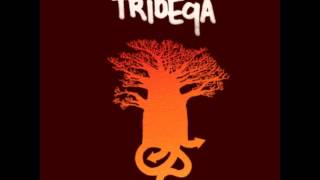 Tribeqa - Up & Down