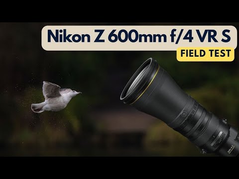 NIKON Z 600mm f/4 TC VR S FIELD TEST