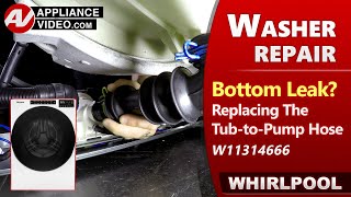 Washer Leaking Water: Tub to Pump Hose Issues — Diagnostic & Repair by Factory Technician