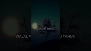 Download lagu SEPOHON KAYU|SAUJANA mp3 Download lagu SEPOHON KAYU|SAUJANA mp3