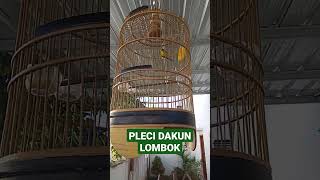 Download lagu Pleci Dakun Lombok #pleci #plecibukpar mp3 Download lagu Pleci Dakun Lombok #pleci #plecibukpar mp3