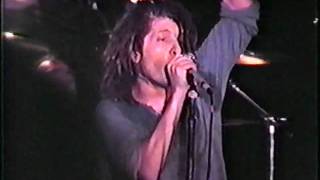 Circle Jerks, When the shit hits the fan, San Diego 1988