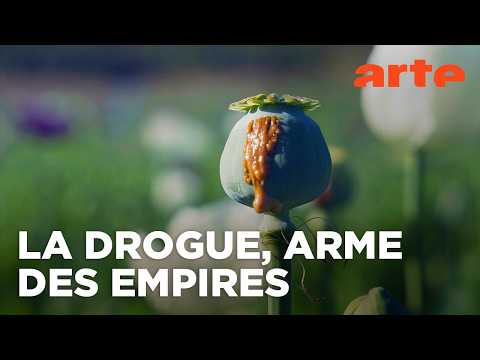 Histoire du trafic de drogue (1/3) | L'ère des empires | ARTE