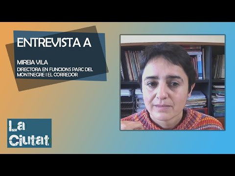 Entrevista Mireia Vila