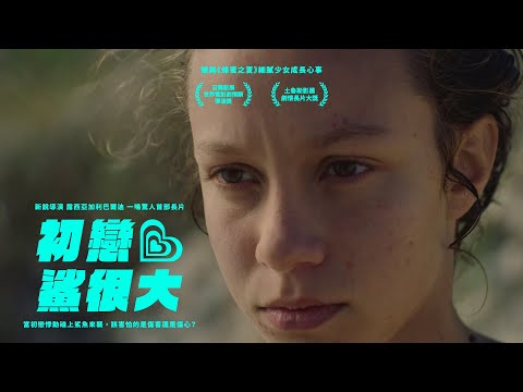 初戀鯊很大｜The Sharks｜新上架