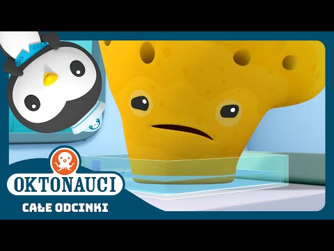 Oktonauci - 🌊 Gąbki 🧽 | Cały odcinek 16 | Seria 3