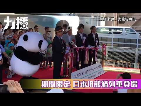 日本JR熊貓列車今日登場