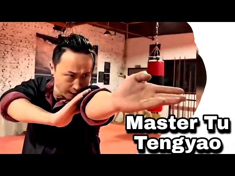 Master Tu Tengyao next wing chun techniques | PART-4