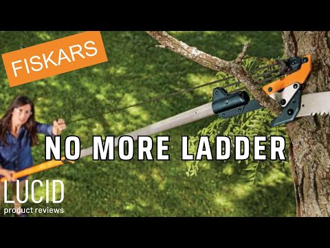 Tree Pruners
