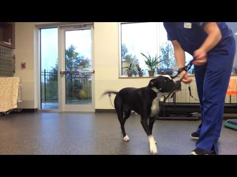 Rhythmic Stabilization