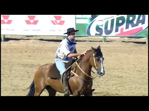 Classificatória de Araranguá - 2º lugar fêmeas - Jeitosa do Mano a Mano (Bayard/Sarmento)