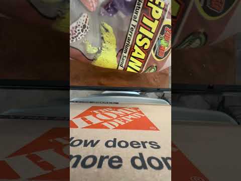 Making a terrarium for my Pogonomyrmex occidentalis colony!