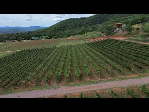 Enraizados en la localidad de Pampa Grande, Santa Cruz de la Sierra, Bolivia.