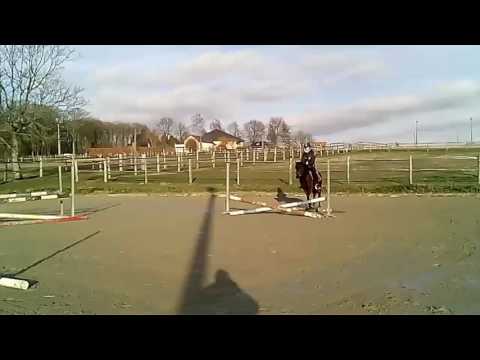 Nobelina T /Nobel Nagano/Charivari