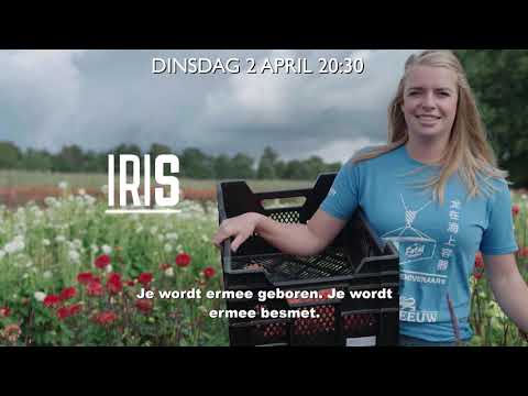 Corsokoorts in Sint Jansklooster (2024)