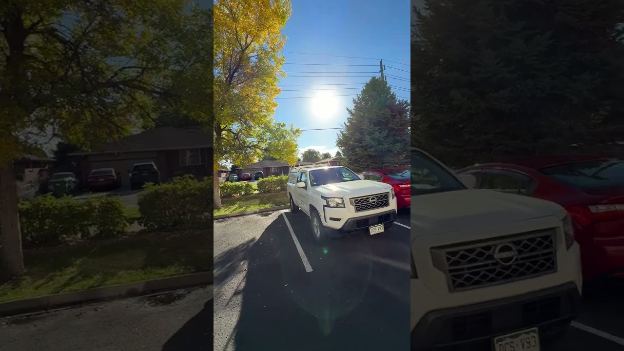 Lakewood - Tree Maintenance Instructions