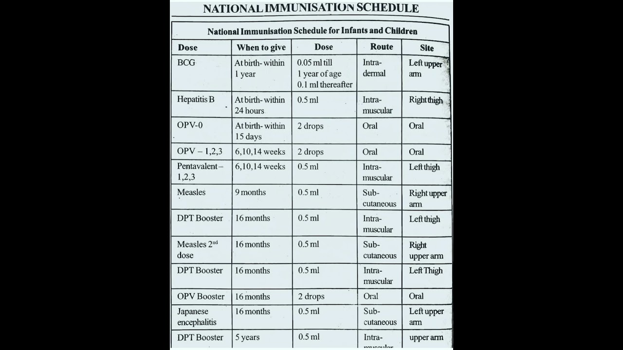 immunization schedule