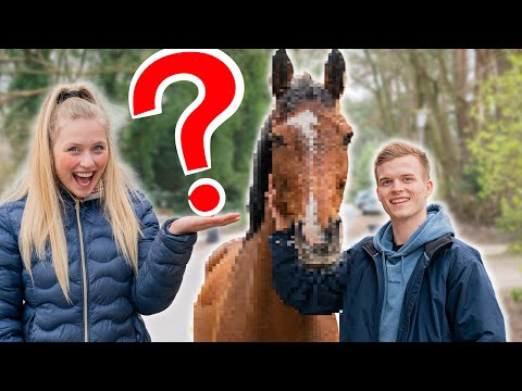 EILMELDUNG - Mein Freund hat ein Pferd gekauft!!🤯