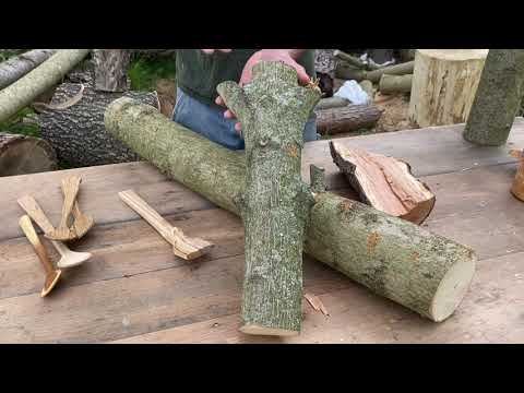 Selecting Wood to Make a Spoon
