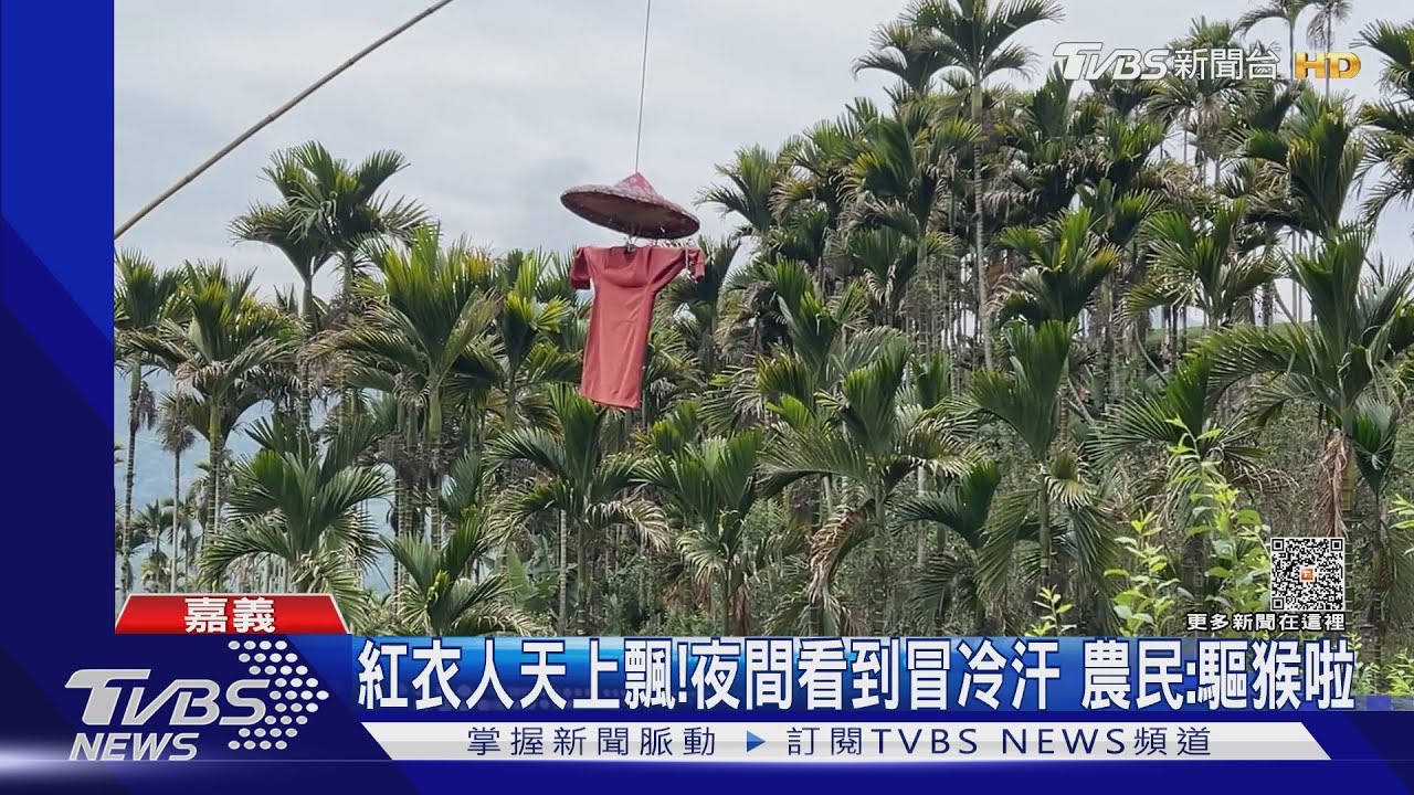 有「阿飄」?紅衣人空中飄 這款驅猴法讓人頭皮發毛