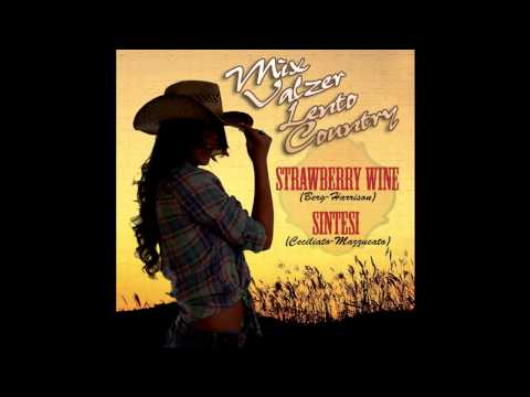 Valzer Lento Country - Dj Denny Dellavalle - MIX SINTESI