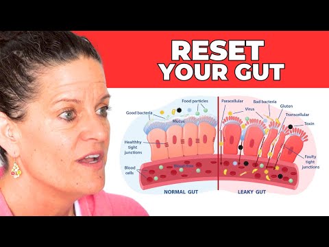 Reset Your Gut with Fasting | Dr. Mindy Pelz